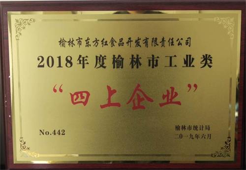 2018年度榆林市工業(yè)類(lèi)“四上企業(yè)”（東方紅）